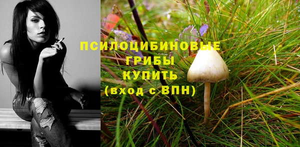 первитин Лабытнанги
