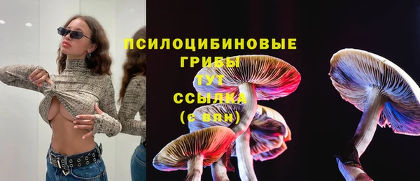 спайс Кулебаки