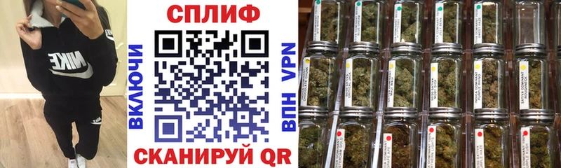 Конопля сатива Купить где Балашов